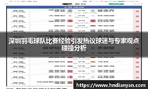 深圳羽毛球队比赛经验引发热议球迷与专家观点碰撞分析